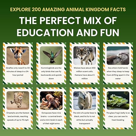 Animal Fun Fact Cards – 200 Screen-Free, Curiosity-Boosting Cards for Kids (Ages 5+)